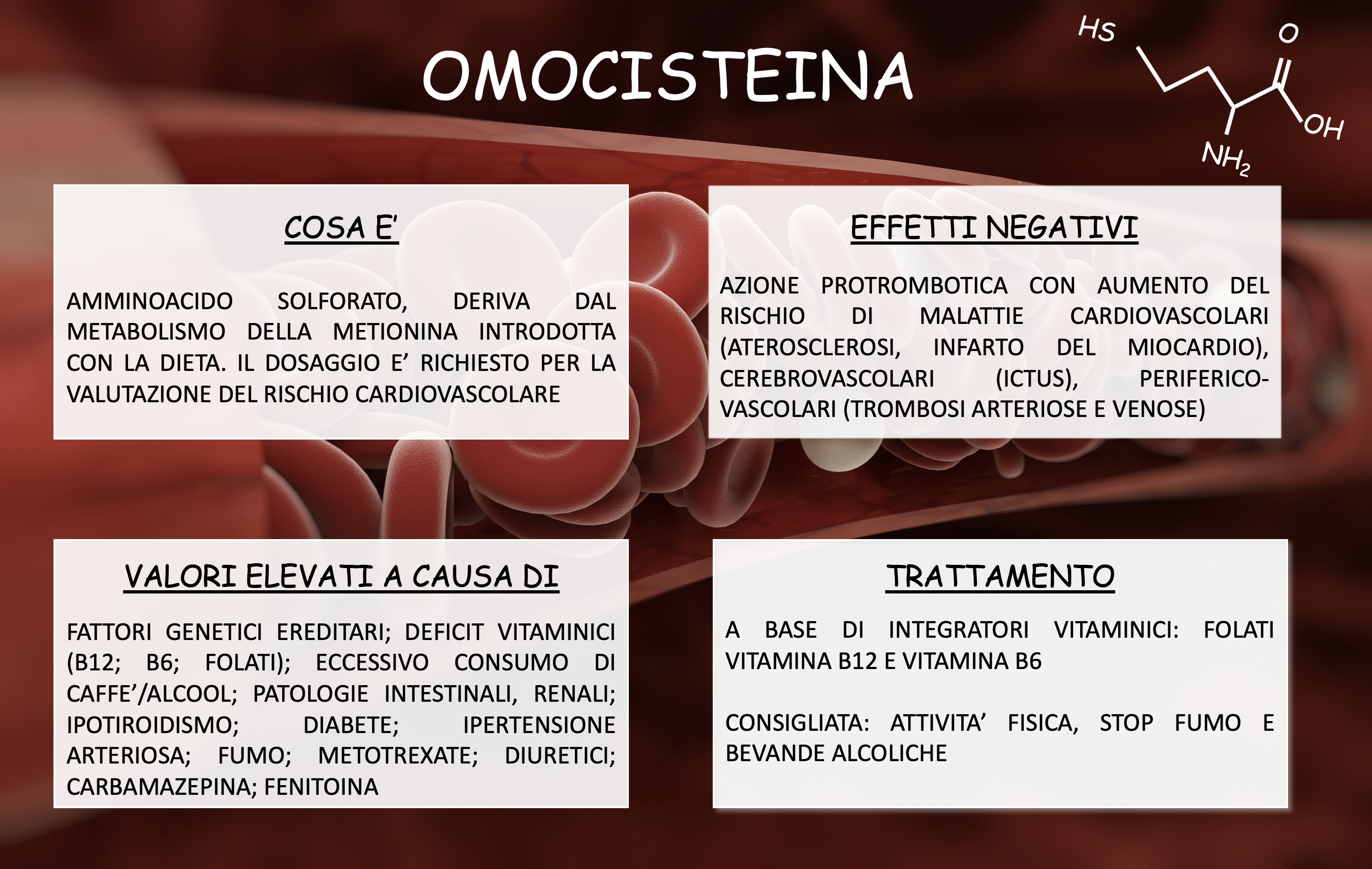 Omocisteina2
